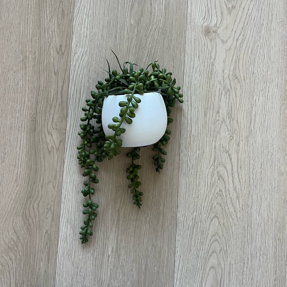Faux Potted String of Pearls Succulent